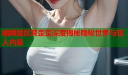 暗网禁区爽歪歪深度揭秘隐秘世界与惊人内幕