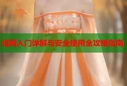 暗网入门详解与安全使用全攻略指南