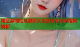 暗区禁网地址最新大全及安全访问指南解析