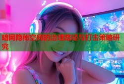 暗网隐秘空间的治理路径与打击策略研究