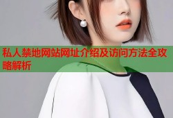 私人禁地网站网址介绍及访问方法全攻略解析