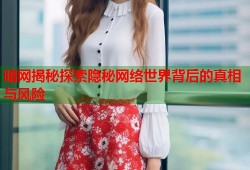 暗网揭秘探索隐秘网络世界背后的真相与风险