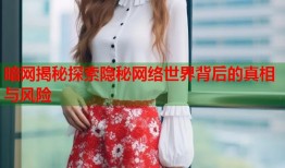 暗网揭秘探索隐秘网络世界背后的真相与风险