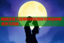 暗网迷情下载揭秘网络隐秘世界的神秘诱惑与风险