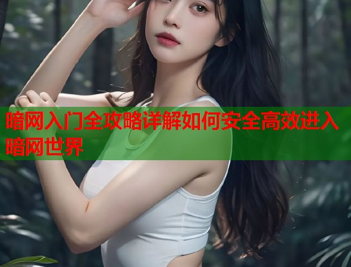 暗网入门全攻略详解如何安全高效进入暗网世界