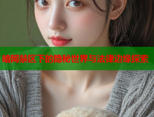 暗网禁区下的隐秘世界与法律边缘探索
