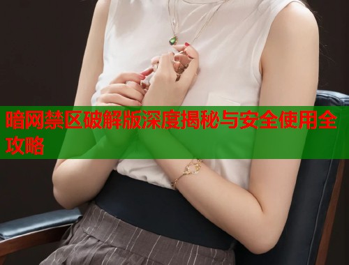 暗网禁区破解版深度揭秘与安全使用全攻略