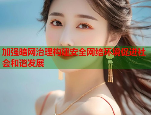 加强暗网治理构建安全网络环境促进社会和谐发展