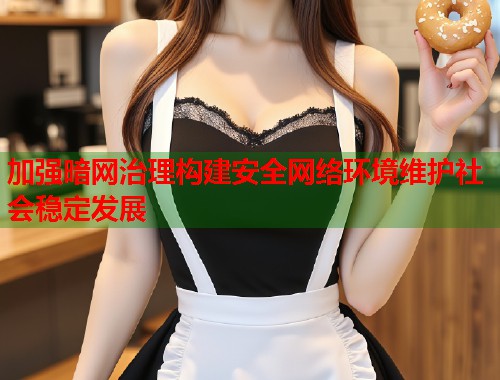 加强暗网治理构建安全网络环境维护社会稳定发展
