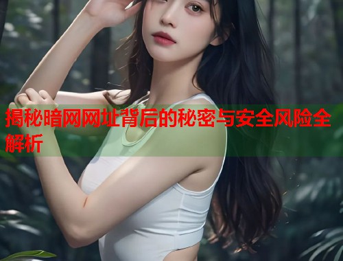 揭秘暗网网址背后的秘密与安全风险全解析