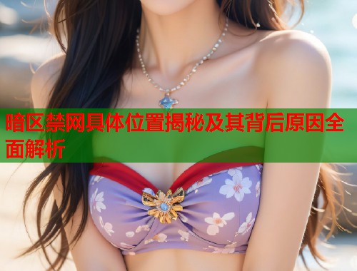 暗区禁网具体位置揭秘及其背后原因全面解析