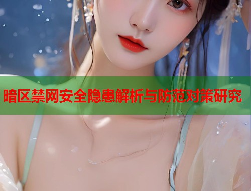 暗区禁网安全隐患解析与防范对策研究