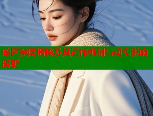 暗区禁网揭秘及其运作机制与现实影响解析