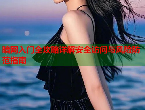 暗网入门全攻略详解安全访问与风险防范指南