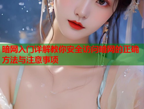 暗网入门详解教你安全访问暗网的正确方法与注意事项