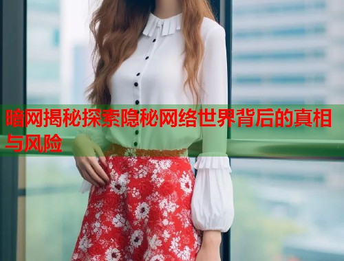 暗网揭秘探索隐秘网络世界背后的真相与风险
