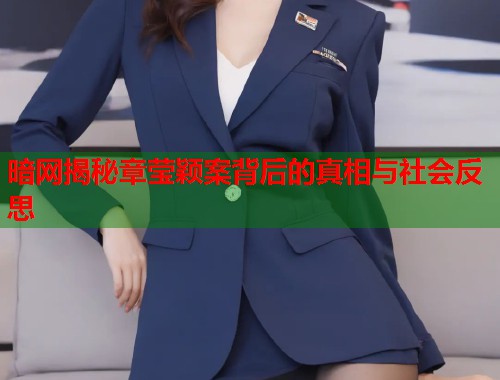 暗网揭秘章莹颖案背后的真相与社会反思