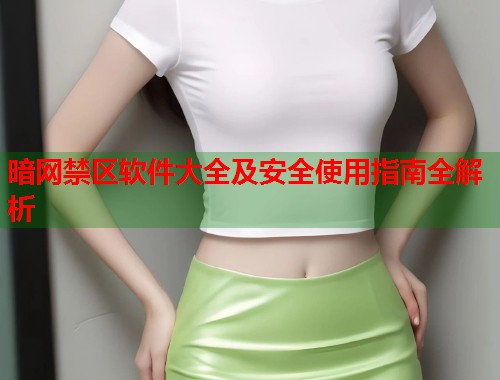 暗网禁区软件大全及安全使用指南全解析