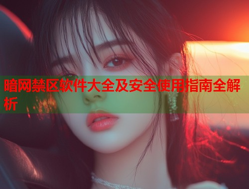 暗网禁区软件大全及安全使用指南全解析