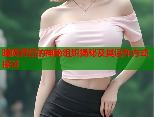 暗网背后的神秘组织揭秘及其运作方式探讨