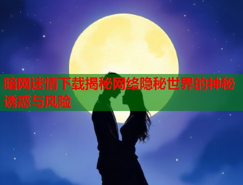 暗网迷情下载揭秘网络隐秘世界的神秘诱惑与风险