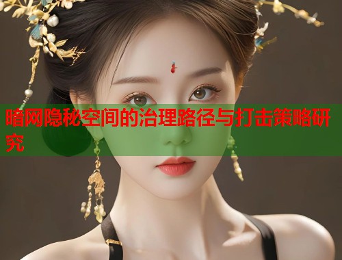 暗网隐秘空间的治理路径与打击策略研究