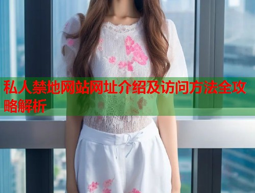 私人禁地网站网址介绍及访问方法全攻略解析