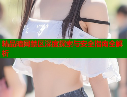 精品暗网禁区深度探索与安全指南全解析