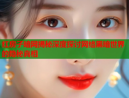 红房子暗网揭秘深度探讨网络黑暗世界的隐秘真相
